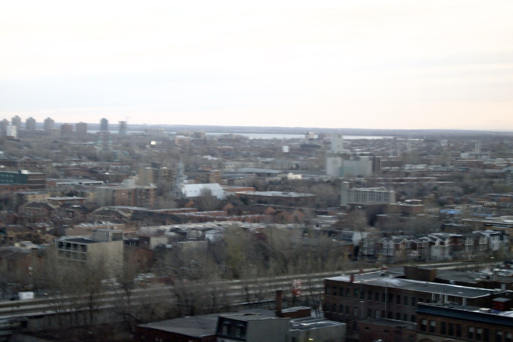 P1010648.jpeg
