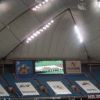 Grey Cup 1999 - Photo 27