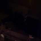 Grey Cup 2006 - Photo 36