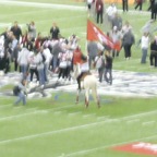 Grey Cup 2008 - Photo 66