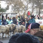 Grey Cup 2009 - Photo 32