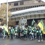 Grey Cup 2009 - Photo 52