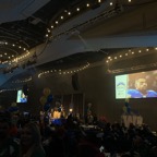 Grey Cup 2018 - Photo 5